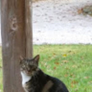 Meet your Posher, Ann marie